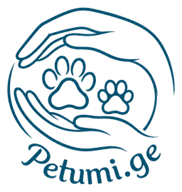 Petumi.ge